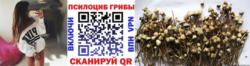 Галлюциногенные грибы GOLDEN TEACHER Тбилисская