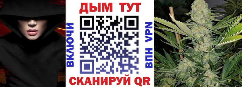 дарнет шоп  Тбилисская  Конопля MAZAR 